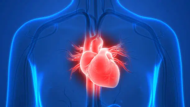 Heart health education