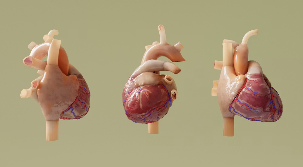 Preventive Cardiology